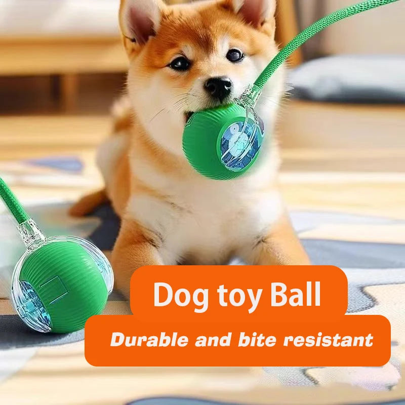 FetchRoll Smart Rolling Play Ball