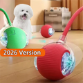 FetchRoll Smart Rolling Play Ball