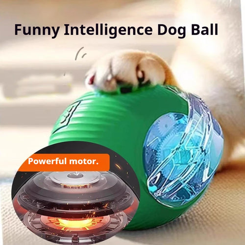 FetchRoll Smart Rolling Play Ball