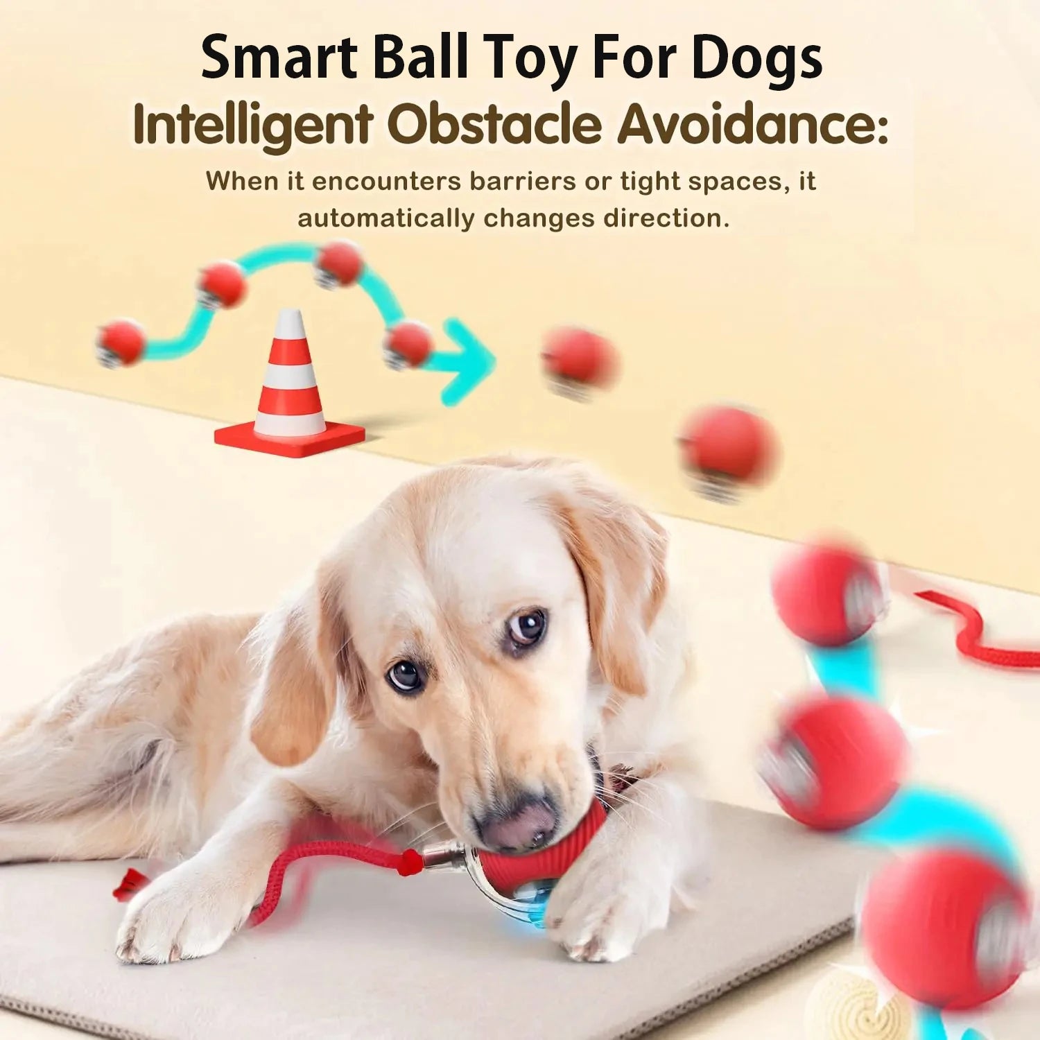 FetchRoll Smart Rolling Play Ball