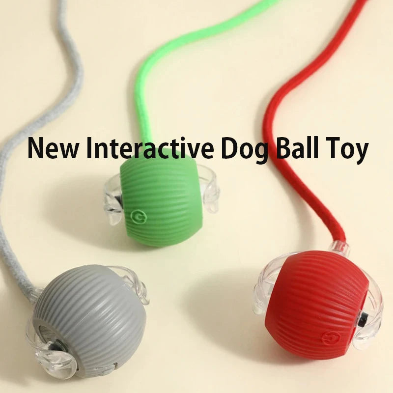 FetchRoll Smart Rolling Play Ball