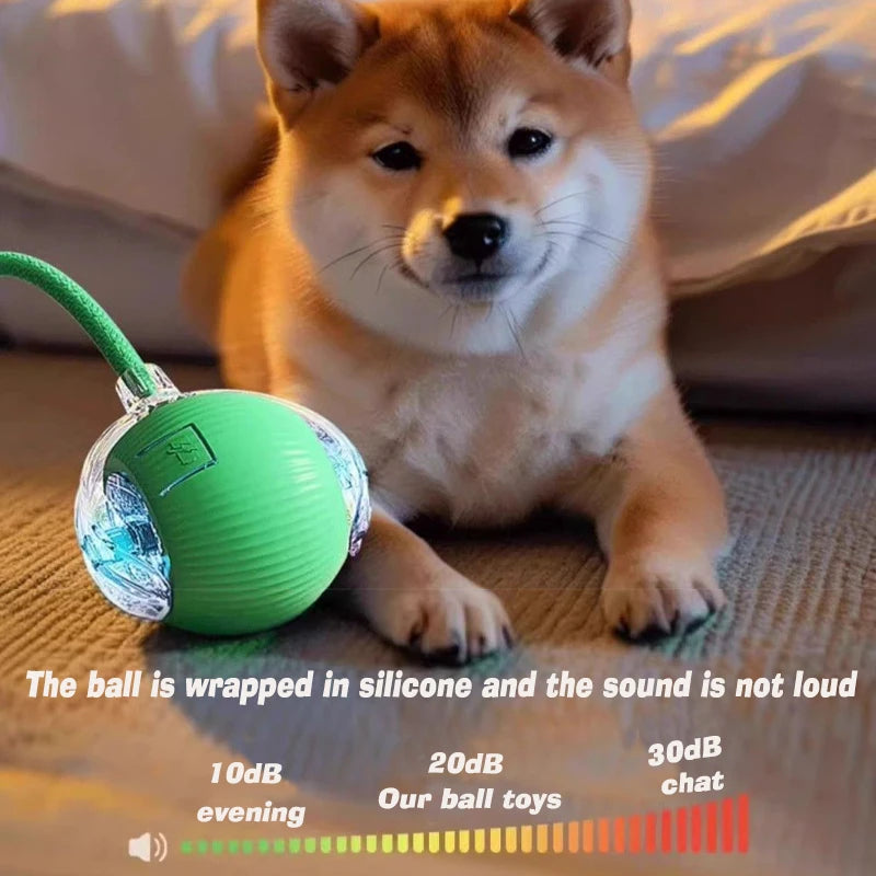 FetchRoll Smart Rolling Play Ball